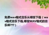 免費(fèi)wav格式音樂從哪里下載（wav格式音樂下載,哪里WAV格式的音樂啊???）