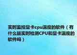 實時監(jiān)控顯卡cpu溫度的軟件（有什么能實時檢測CPU和顯卡溫度的軟件嗎）