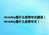 niceday是什么意思中文翻譯（niceday是什么意思中文）