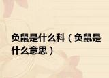 負(fù)鼠是什么科（負(fù)鼠是什么意思）