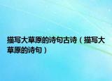 描寫大草原的詩句古詩（描寫大草原的詩句）