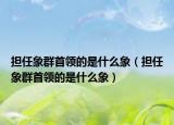 擔(dān)任象群首領(lǐng)的是什么象（擔(dān)任象群首領(lǐng)的是什么象）