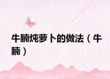 牛腩燉蘿卜的做法（牛腩）