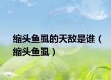 縮頭魚虱的天敵是誰（縮頭魚虱）