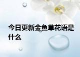 今日更新金魚草花語是什么