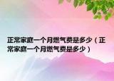 正常家庭一個月燃氣費是多少（正常家庭一個月燃氣費是多少）
