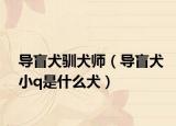 導(dǎo)盲犬馴犬師（導(dǎo)盲犬小q是什么犬）