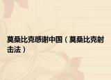 莫桑比克感謝中國（莫桑比克射擊法）
