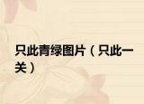 只此青綠圖片（只此一關(guān)）