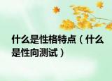 什么是性格特點(diǎn)（什么是性向測試）