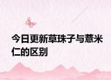 今日更新草珠子與薏米仁的區(qū)別