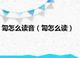 訇怎么讀音（訇怎么讀）