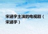 宋涵宇主演的電視?。ㄋ魏睿? /></span></a>
                        <h2><a href=