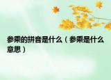 參乘的拼音是什么（參乘是什么意思）
