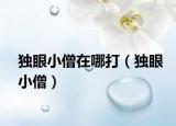 獨眼小僧在哪打（獨眼小僧）