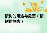 桉樹(shù)的用途與危害（桉樹(shù)的危害）