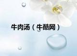 牛肉湯（?？峋W(wǎng)）