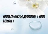 低溫試驗箱怎么設置溫度（低溫試驗箱）