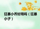 狂暴小喬好用嗎（狂暴小子）