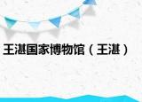 王湛國家博物館（王湛）