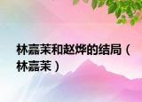 林嘉茉和趙燁的結(jié)局（林嘉茉）