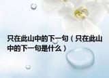 只在此山中的下一句（只在此山中的下一句是什么）