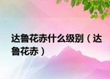 達(dá)魯花赤什么級(jí)別（達(dá)魯花赤）