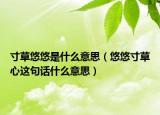 寸草悠悠是什么意思（悠悠寸草心這句話什么意思）