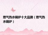 燃?xì)鉄崴仩t十大品牌（燃?xì)鉄崴仩t）
