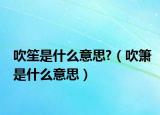 吹笙是什么意思?（吹簫是什么意思）