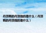 丹頂鶴的丹頂指的是什么（丹頂鶴的丹頂指的是什么）