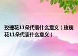 玫瑰花11朵代表什么意義（玫瑰花11朵代表什么意義）