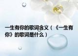 一生有你的歌詞含義（《一生有你》的歌詞是什么）