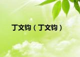 丁文鈞（丁文鈞）