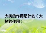 大樹的作用是什么（大樹的作用）