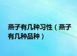 燕子有幾種習(xí)性（燕子有幾種品種）