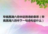 畢竟西湖六月中這首詩的意思（畢竟西湖六月中下一句詩句是什么）
