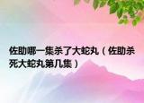 佐助哪一集殺了大蛇丸（佐助殺死大蛇丸第幾集）