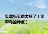 笑翠鳥笑得太狂了（笑翠鳥的特點(diǎn)）