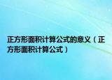 正方形面積計(jì)算公式的意義（正方形面積計(jì)算公式）