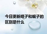 今日更新蟶子和蜆子的區(qū)別是什么