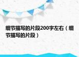 細(xì)節(jié)描寫的片段200字左右（細(xì)節(jié)描寫的片段）