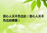 苦心人天不負(fù)出處（苦心人天不負(fù)出自哪里）