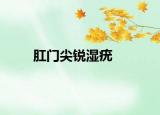 肛門尖銳濕疣