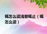 輒怎么讀淺嘗輒止（輒怎么讀）