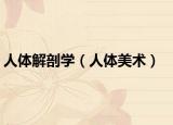 人體解剖學(xué)（人體美術(shù)）