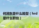 何潤東是什么臉型（hrd是什么職位）