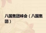 八國集團(tuán)峰會（八國集團(tuán)）