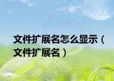 文件擴(kuò)展名怎么顯示（文件擴(kuò)展名）