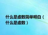 什么是虛數(shù)簡單明白（什么是虛數(shù)）